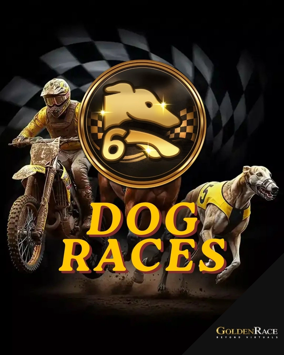 Dog Races