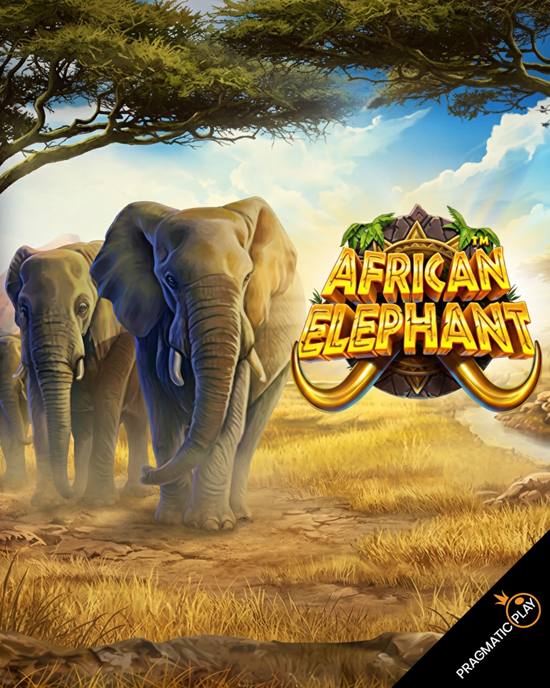 African Elephant